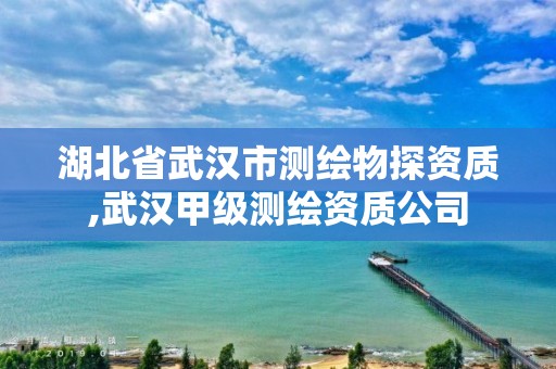 湖北省武汉市测绘物探资质,武汉甲级测绘资质公司