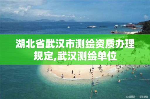 湖北省武汉市测绘资质办理规定,武汉测绘单位