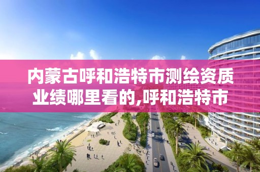 内蒙古呼和浩特市测绘资质业绩哪里看的,呼和浩特市测绘仪器店。