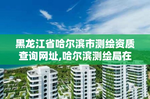 黑龙江省哈尔滨市测绘资质查询网址,哈尔滨测绘局在哪