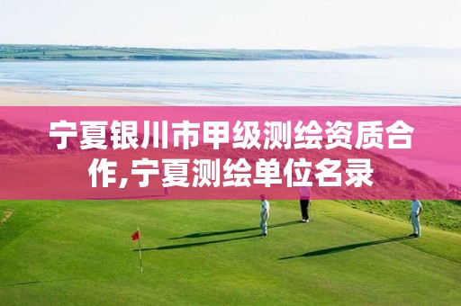 宁夏银川市甲级测绘资质合作,宁夏测绘单位名录