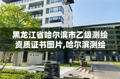 黑龙江省哈尔滨市乙级测绘资质证书图片,哈尔滨测绘地理信息局招聘公告。