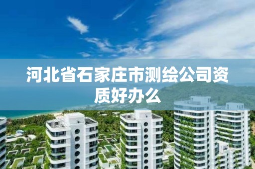 河北省石家庄市测绘公司资质好办么