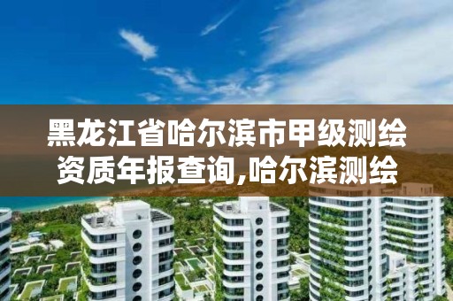 黑龙江省哈尔滨市甲级测绘资质年报查询,哈尔滨测绘院地址