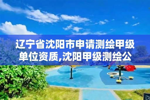 辽宁省沈阳市申请测绘甲级单位资质,沈阳甲级测绘公司