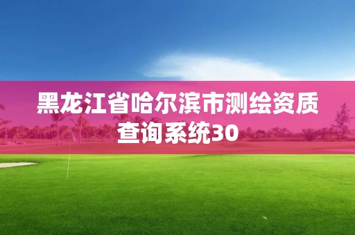 黑龙江省哈尔滨市测绘资质查询系统30