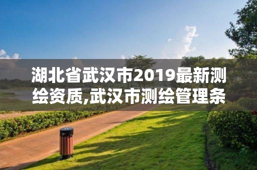 湖北省武汉市2019最新测绘资质,武汉市测绘管理条例