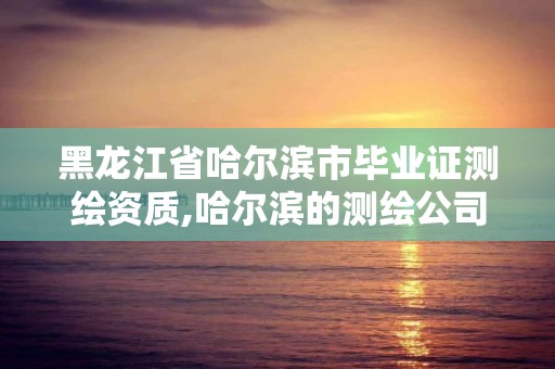 黑龙江省哈尔滨市毕业证测绘资质,哈尔滨的测绘公司有哪些