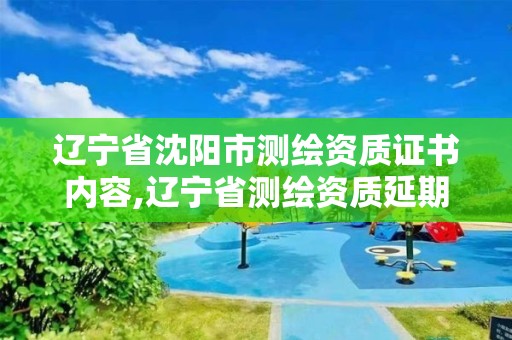 辽宁省沈阳市测绘资质证书内容,辽宁省测绘资质延期。