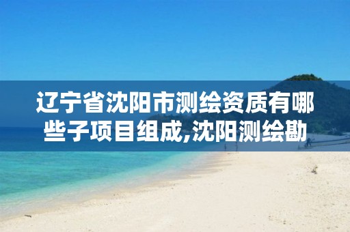 辽宁省沈阳市测绘资质有哪些子项目组成,沈阳测绘勘察研究院有限公司。