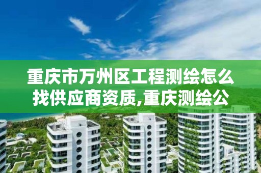 重庆市万州区工程测绘怎么找供应商资质,重庆测绘公司名录