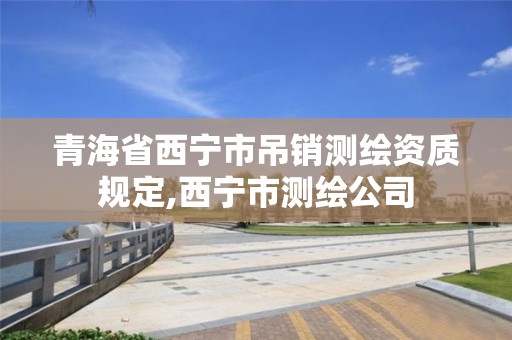 青海省西宁市吊销测绘资质规定,西宁市测绘公司