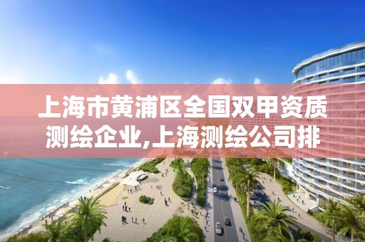 上海市黄浦区全国双甲资质测绘企业,上海测绘公司排名名单。