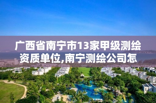 广西省南宁市13家甲级测绘资质单位,南宁测绘公司怎么收费标准