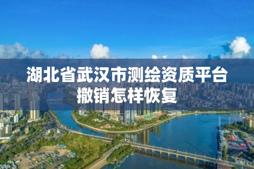 湖北省武汉市测绘资质平台撤销怎样恢复