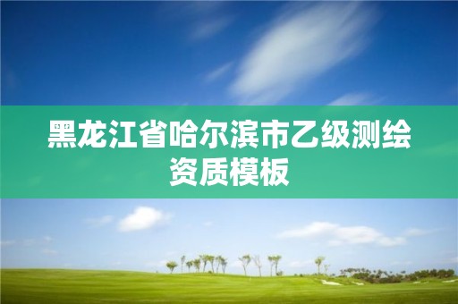 黑龙江省哈尔滨市乙级测绘资质模板