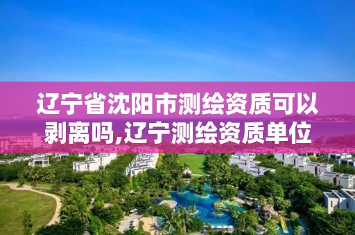 辽宁省沈阳市测绘资质可以剥离吗,辽宁测绘资质单位