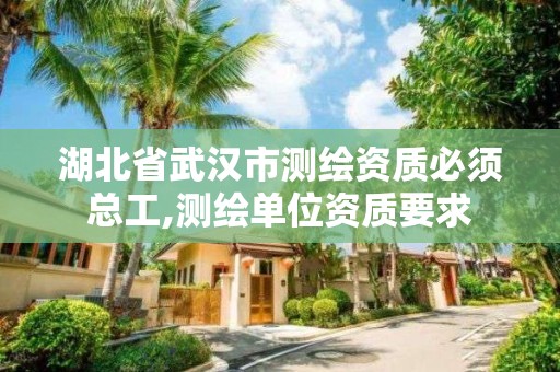 湖北省武汉市测绘资质必须总工,测绘单位资质要求