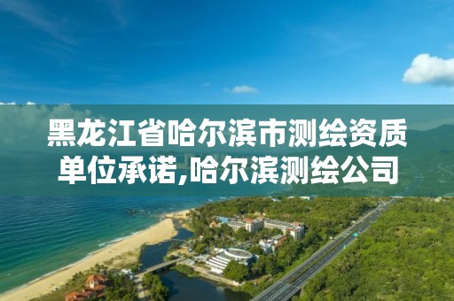 黑龙江省哈尔滨市测绘资质单位承诺,哈尔滨测绘公司招聘