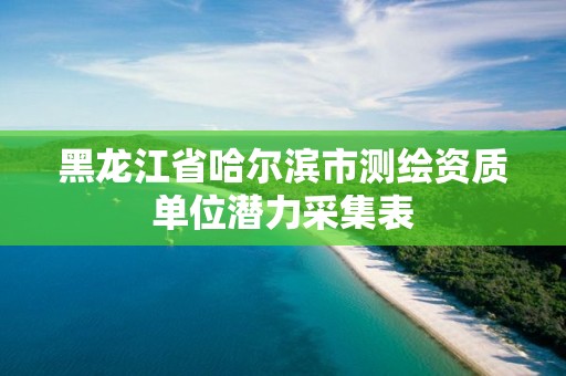 黑龙江省哈尔滨市测绘资质单位潜力采集表