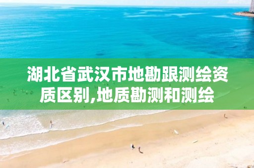 湖北省武汉市地勘跟测绘资质区别,地质勘测和测绘