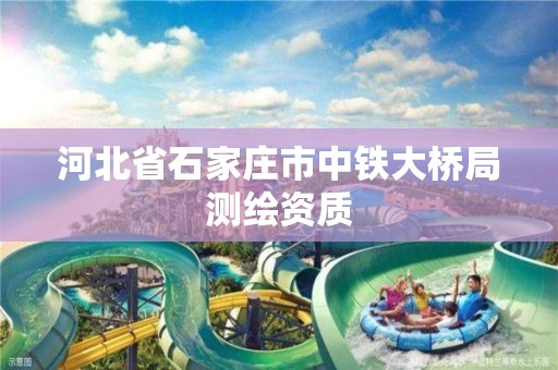 河北省石家庄市中铁大桥局测绘资质