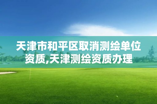 天津市和平区取消测绘单位资质,天津测绘资质办理