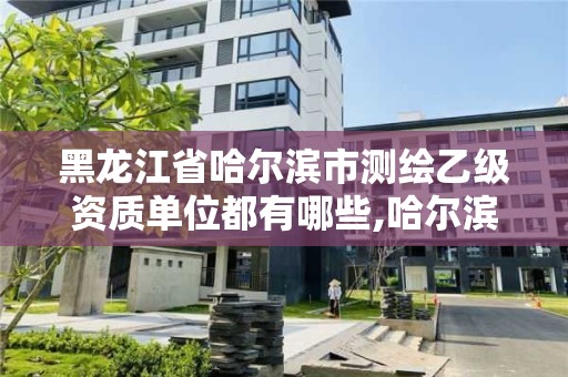 黑龙江省哈尔滨市测绘乙级资质单位都有哪些,哈尔滨甲级测绘公司。