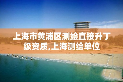 上海市黄浦区测绘直接升丁级资质,上海测绘单位