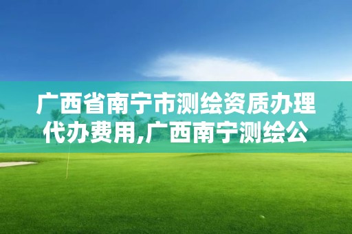 广西省南宁市测绘资质办理代办费用,广西南宁测绘公司排名