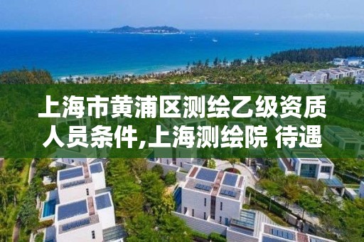 上海市黄浦区测绘乙级资质人员条件,上海测绘院 待遇