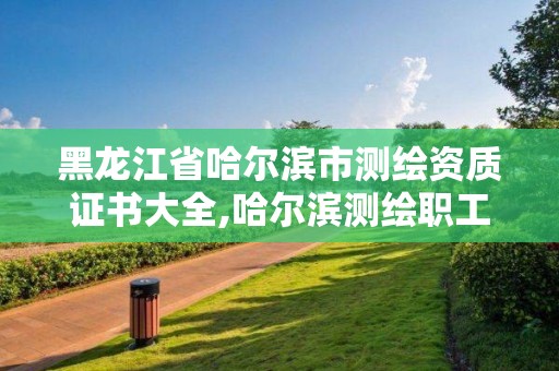 黑龙江省哈尔滨市测绘资质证书大全,哈尔滨测绘职工中等专业学校。