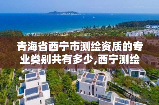 青海省西宁市测绘资质的专业类别共有多少,西宁测绘招聘。