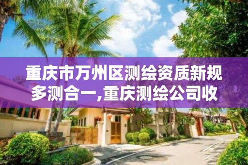 重庆市万州区测绘资质新规多测合一,重庆测绘公司收费标准。