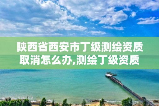 陕西省西安市丁级测绘资质取消怎么办,测绘丁级资质申报条件。