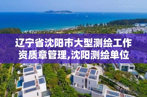 辽宁省沈阳市大型测绘工作资质章管理,沈阳测绘单位排名