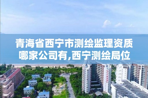 青海省西宁市测绘监理资质哪家公司有,西宁测绘局位置。