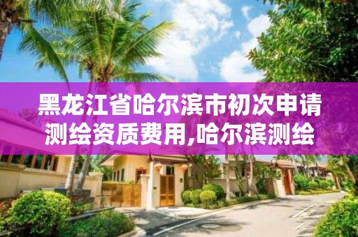 黑龙江省哈尔滨市初次申请测绘资质费用,哈尔滨测绘局招聘