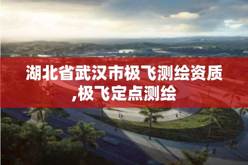 湖北省武汉市极飞测绘资质,极飞定点测绘