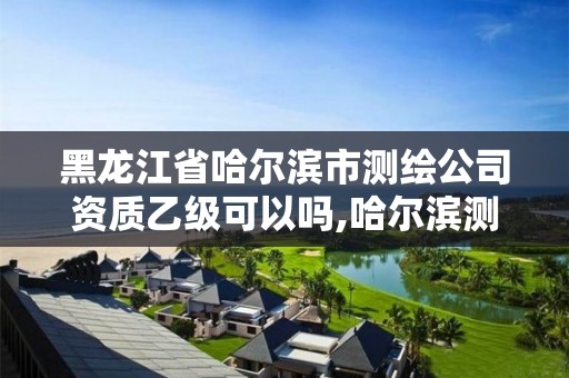 黑龙江省哈尔滨市测绘公司资质乙级可以吗,哈尔滨测绘局怎么样。