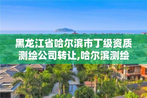 黑龙江省哈尔滨市丁级资质测绘公司转让,哈尔滨测绘公司哪家好