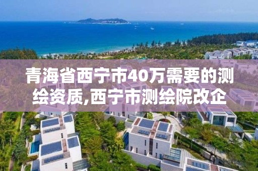 青海省西宁市40万需要的测绘资质,西宁市测绘院改企业。