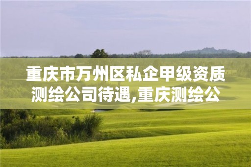 重庆市万州区私企甲级资质测绘公司待遇,重庆测绘公司推荐。