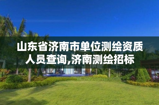 山东省济南市单位测绘资质人员查询,济南测绘招标