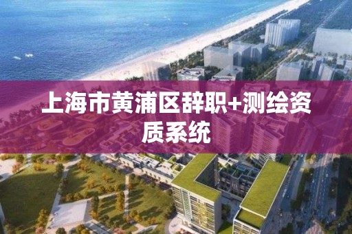 上海市黄浦区辞职+测绘资质系统