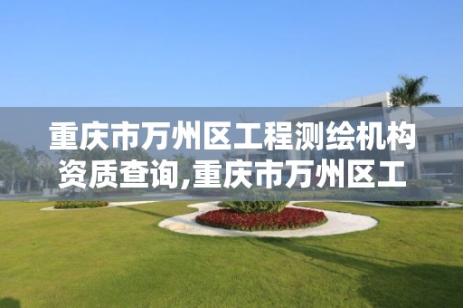 重庆市万州区工程测绘机构资质查询,重庆市万州区工程测绘机构资质查询网