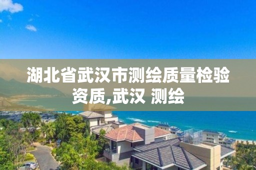 湖北省武汉市测绘质量检验资质,武汉 测绘