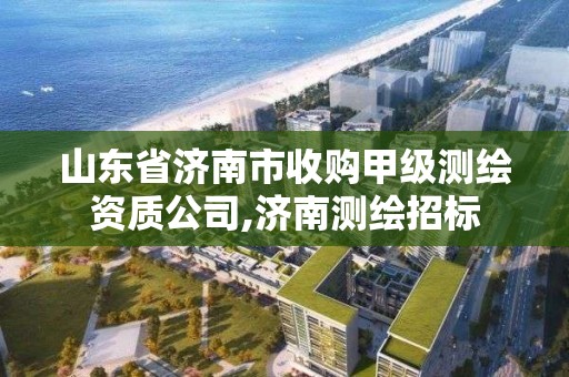 山东省济南市收购甲级测绘资质公司,济南测绘招标