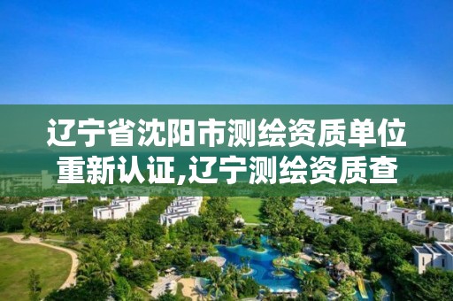 辽宁省沈阳市测绘资质单位重新认证,辽宁测绘资质查询