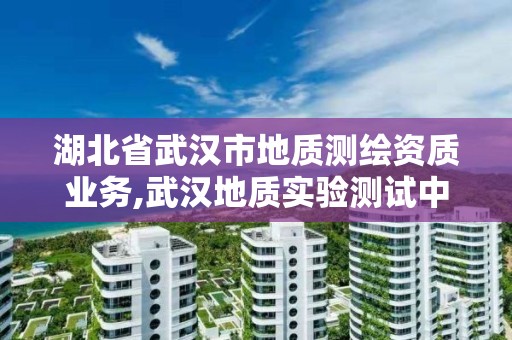 湖北省武汉市地质测绘资质业务,武汉地质实验测试中心